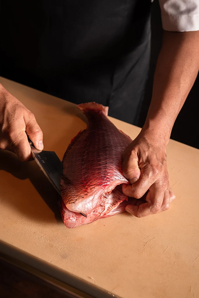 Peixe Fish Mimi Curated by Yakuza